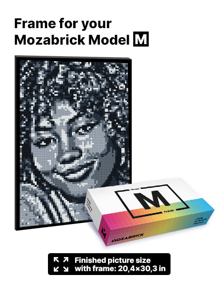 Frame for Mozabrick Model M