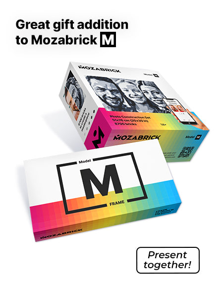 Frame for Mozabrick Model M